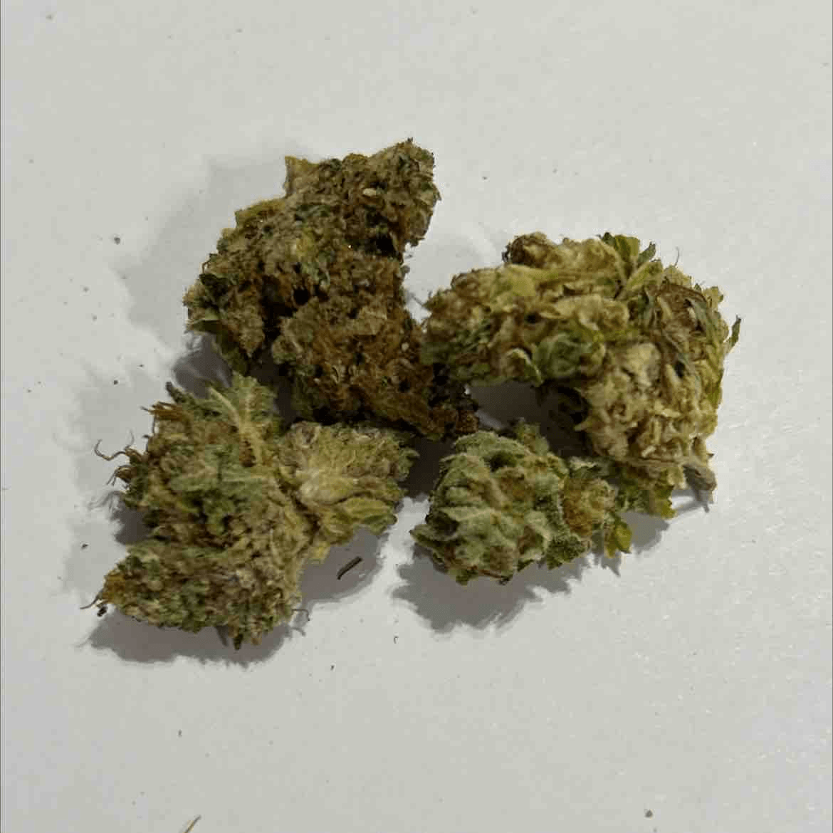 Blackberry Moonrock - sj